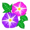 🌸