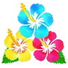 🌺