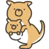 🦘