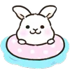 🐰