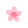 🌸