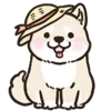 🐶