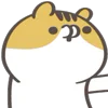 🐱