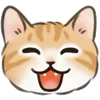 🐱