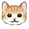 🐱