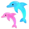 🐬