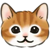 🐱