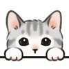 🐱