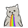 🌈