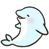 🐬