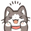 🐱