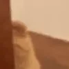 👀