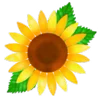 🌻