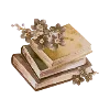 📚