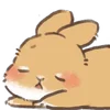🐇