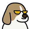 😎