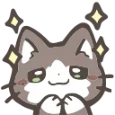 🐱