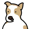 🐶