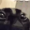 👁