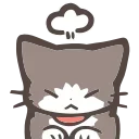 🐱