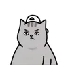 😾