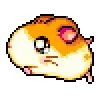 🏃‍♂️