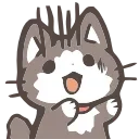 🐱