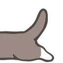 🐱