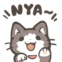 🐱