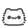 🐱