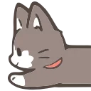 🐱