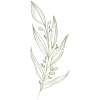 🌿