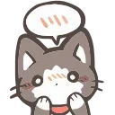 🐱