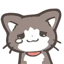 🐱