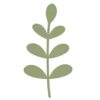 🌿