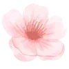 🌸