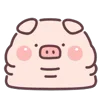 🐷