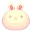 🐰