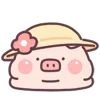 👒