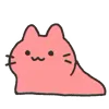 🐱