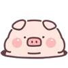 🐷