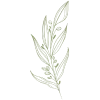 🌿