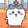 🍁
