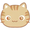 🐱