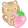 🍓