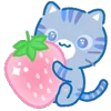 🍓