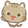 🐈