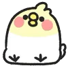 🐤