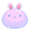 🐰