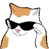 😎